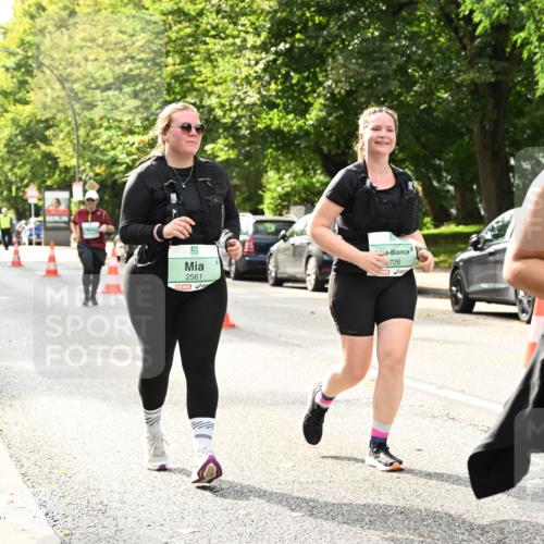 20.09.2026 - PSD Bank Halbmarathon Dr. Thomas Lammeyer http://msf.ph/oto/10518661 20.09.2026 11:13:12 Laufen 2561, 726, 3779 meine-sportfotos.de