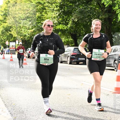 20.09.2026 - PSD Bank Halbmarathon Dr. Thomas Lammeyer http://msf.ph/oto/10518670 20.09.2026 11:13:12 Laufen 2561, 2726 meine-sportfotos.de