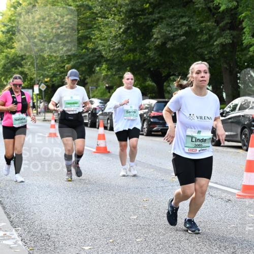 20.09.2026 - PSD Bank Halbmarathon Dr. Thomas Lammeyer http://msf.ph/oto/10519299 20.09.2026 11:14:54 Laufen 1993, 1473, 3065 meine-sportfotos.de