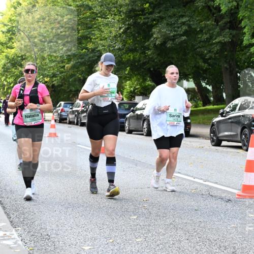 20.09.2026 - PSD Bank Halbmarathon Dr. Thomas Lammeyer http://msf.ph/oto/10519310 20.09.2026 11:14:55 Laufen 1993, 4678, 1473, 3065 meine-sportfotos.de
