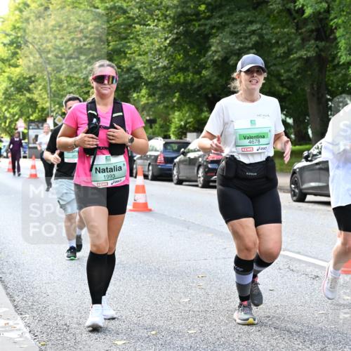 20.09.2026 - PSD Bank Halbmarathon Dr. Thomas Lammeyer http://msf.ph/oto/10519330 20.09.2026 11:14:56 Laufen 1993, 4678, 1473 meine-sportfotos.de