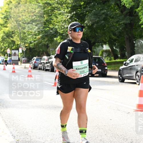 20.09.2026 - PSD Bank Halbmarathon Dr. Thomas Lammeyer http://msf.ph/oto/10519703 20.09.2026 11:16:17 Laufen 3209 meine-sportfotos.de
