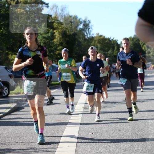 20.09.2026 - PSD Bank Halbmarathon Jannik Wohlers http://msf.ph/oto/10521955 20.09.2026 10:42:52 Laufen 3564, 1868, 1613 meine-sportfotos.de