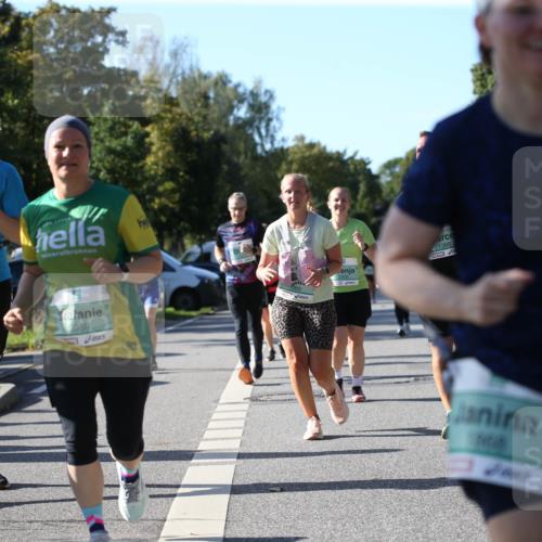 20.09.2026 - PSD Bank Halbmarathon Jannik Wohlers http://msf.ph/oto/10521968 20.09.2026 10:42:54 Laufen 4205, 958, 3959, 389, 1388 meine-sportfotos.de