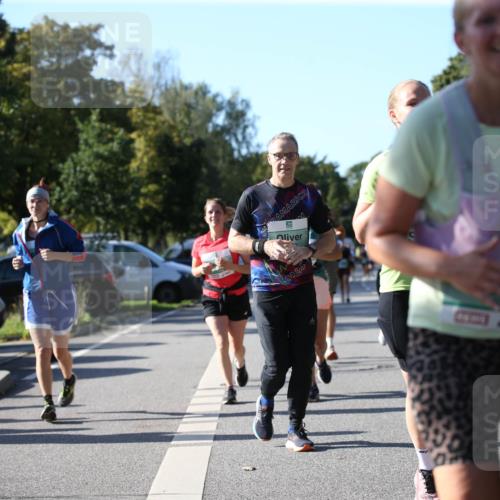 20.09.2026 - PSD Bank Halbmarathon Jannik Wohlers http://msf.ph/oto/10521982 20.09.2026 10:42:57 Laufen 2024 meine-sportfotos.de