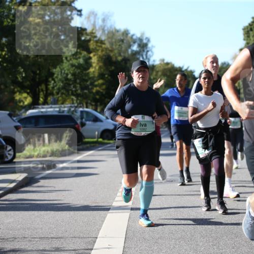 20.09.2026 - PSD Bank Halbmarathon Jannik Wohlers http://msf.ph/oto/10522049 20.09.2026 10:43:20 Laufen 1082, 2921 meine-sportfotos.de