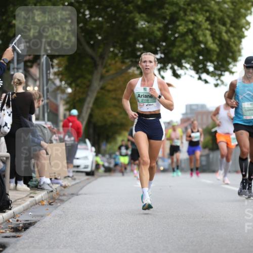 20.09.2026 - PSD Bank Halbmarathon Jannik Wohlers http://msf.ph/oto/10522605 20.09.2026 11:34:22 Laufen 5, 2159, 1327 meine-sportfotos.de