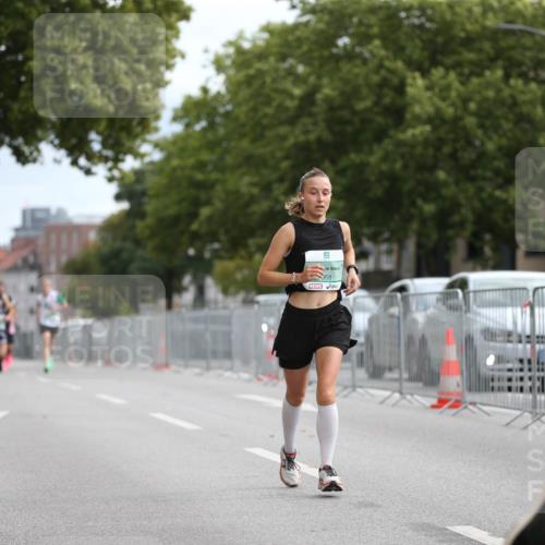 20.09.2026 - PSD Bank Halbmarathon Jannik Wohlers http://msf.ph/oto/10523396 20.09.2026 11:42:45 Laufen 068 meine-sportfotos.de