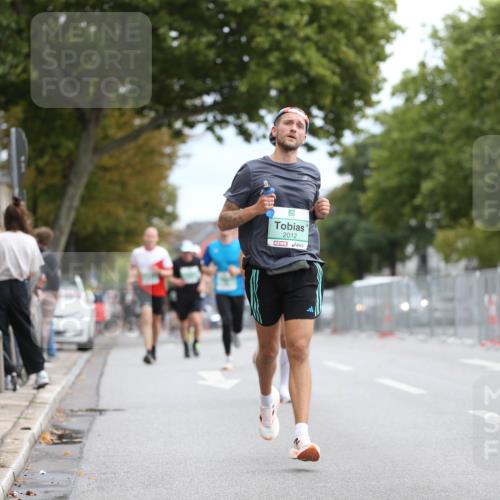 20.09.2026 - PSD Bank Halbmarathon Jannik Wohlers http://msf.ph/oto/10523823 20.09.2026 11:46:16 Laufen 2012, 1189 meine-sportfotos.de