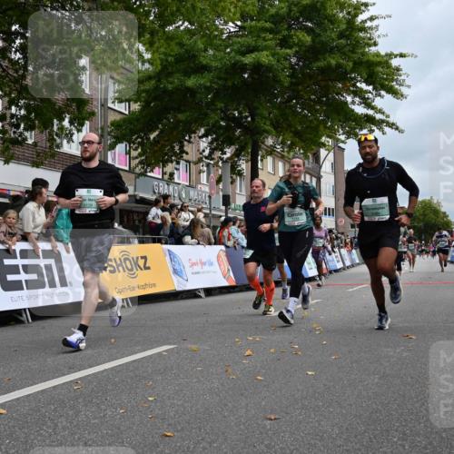 20.09.2026 - PSD Bank Halbmarathon J. Mangold http://msf.ph/oto/10523874 20.09.2026 12:02:29 Ziel 1247, 1507, 1586, 1718, 1895, 2084, 2105, 2817, 2818, 3109, 3240, 3310, 3354, 3609, 4547, 4565, 4568 meine-sportfotos.de