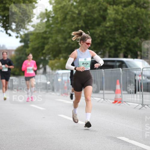 20.09.2026 - PSD Bank Halbmarathon Jannik Wohlers http://msf.ph/oto/10524000 20.09.2026 11:48:06 Laufen 2571 meine-sportfotos.de