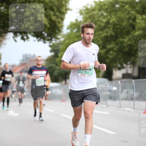 20.09.2026 - PSD Bank Halbmarathon Jannik Wohlers http://msf.ph/oto/10524458 20.09.2026 11:52:35 Laufen 1012 meine-sportfotos.de
