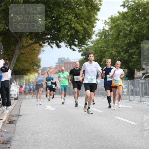 20.09.2026 - PSD Bank Halbmarathon Jannik Wohlers http://msf.ph/oto/10524771 20.09.2026 11:54:33 Laufen  meine-sportfotos.de