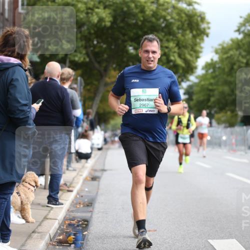 20.09.2026 - PSD Bank Halbmarathon Jannik Wohlers http://msf.ph/oto/10524924 20.09.2026 11:55:47 Laufen 450000, 2967 meine-sportfotos.de
