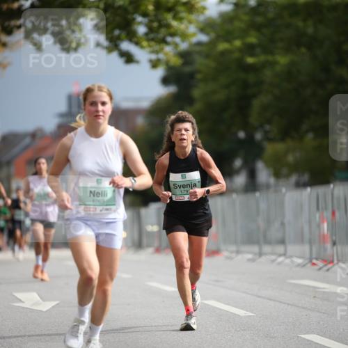 20.09.2026 - PSD Bank Halbmarathon Jannik Wohlers http://msf.ph/oto/10525008 20.09.2026 11:56:33 Laufen 1263, 179 meine-sportfotos.de