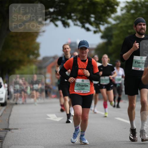 20.09.2026 - PSD Bank Halbmarathon Jannik Wohlers http://msf.ph/oto/10525088 20.09.2026 11:57:08 Laufen 1530, 3941 meine-sportfotos.de