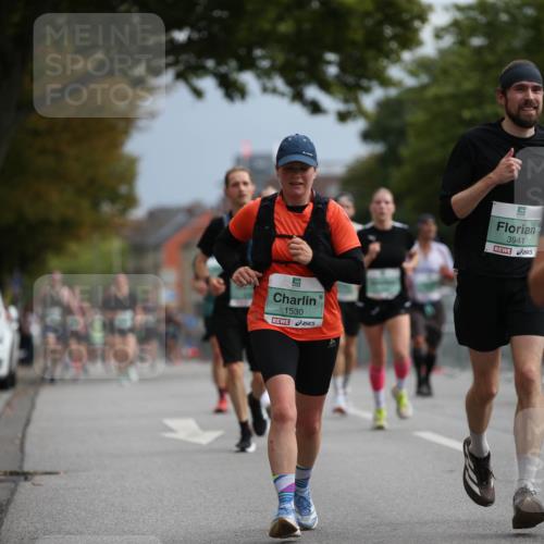 20.09.2026 - PSD Bank Halbmarathon Jannik Wohlers http://msf.ph/oto/10525089 20.09.2026 11:57:08 Laufen 1530, 3941, 3280 meine-sportfotos.de
