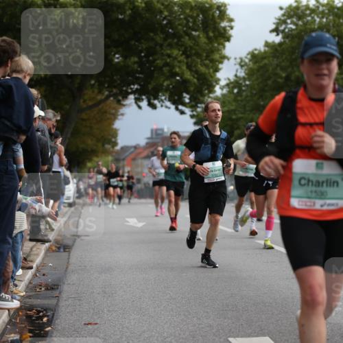 20.09.2026 - PSD Bank Halbmarathon Jannik Wohlers http://msf.ph/oto/10525091 20.09.2026 11:57:11 Laufen 757, 3762, 7530 meine-sportfotos.de