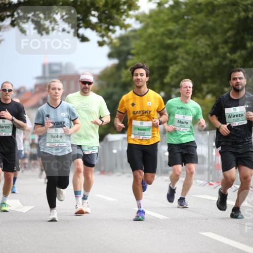 20.09.2026 - PSD Bank Halbmarathon Jannik Wohlers http://msf.ph/oto/10525127 20.09.2026 11:57:35 Laufen 1621, 194, 1406, 4623, 4659, 3604, 1020 meine-sportfotos.de