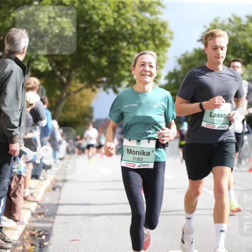 20.09.2026 - PSD Bank Halbmarathon Jannik Wohlers http://msf.ph/oto/10525178 20.09.2026 11:57:58 Laufen 3183, 1304 meine-sportfotos.de