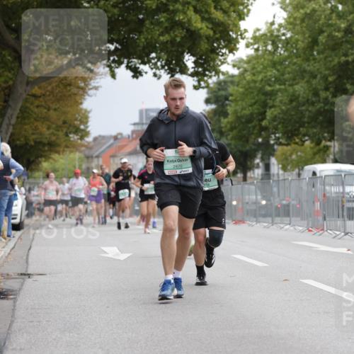 20.09.2026 - PSD Bank Halbmarathon Jannik Wohlers http://msf.ph/oto/10525333 20.09.2026 12:01:45 Laufen 2470, 454 meine-sportfotos.de