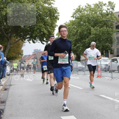 20.09.2026 - PSD Bank Halbmarathon Jannik Wohlers http://msf.ph/oto/10525447 20.09.2026 12:02:12 Laufen 4583 meine-sportfotos.de