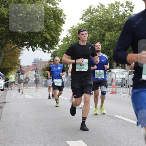 20.09.2026 - PSD Bank Halbmarathon Jannik Wohlers http://msf.ph/oto/10525463 20.09.2026 12:02:14 Laufen 1334, 3566, 2742, 4583 meine-sportfotos.de