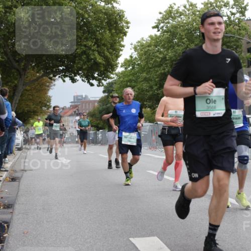 20.09.2026 - PSD Bank Halbmarathon Jannik Wohlers http://msf.ph/oto/10525469 20.09.2026 12:02:14 Laufen 3566, 42 meine-sportfotos.de