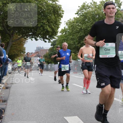 20.09.2026 - PSD Bank Halbmarathon Jannik Wohlers http://msf.ph/oto/10525474 20.09.2026 12:02:14 Laufen 3566, 2742 meine-sportfotos.de