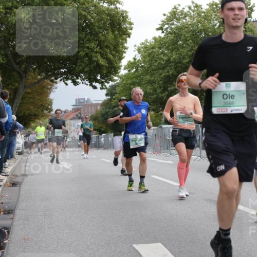 20.09.2026 - PSD Bank Halbmarathon Jannik Wohlers http://msf.ph/oto/10525475 20.09.2026 12:02:14 Laufen 3489, 3566, 742 meine-sportfotos.de