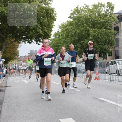20.09.2026 - PSD Bank Halbmarathon Jannik Wohlers http://msf.ph/oto/10525744 20.09.2026 12:03:27 Laufen 3399, 16 meine-sportfotos.de
