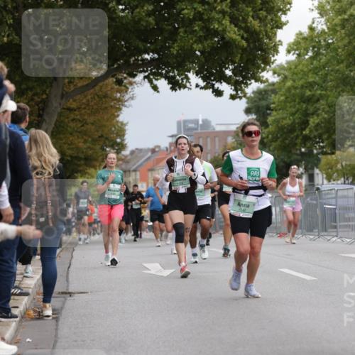 20.09.2026 - PSD Bank Halbmarathon Jannik Wohlers http://msf.ph/oto/10525788 20.09.2026 12:03:33 Laufen 1, 11, 4549, 1007 meine-sportfotos.de
