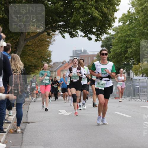 20.09.2026 - PSD Bank Halbmarathon Jannik Wohlers http://msf.ph/oto/10525789 20.09.2026 12:03:33 Laufen 1153, 409, 4549, 1007 meine-sportfotos.de