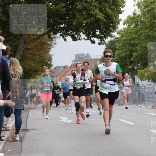 20.09.2026 - PSD Bank Halbmarathon Jannik Wohlers http://msf.ph/oto/10525793 20.09.2026 12:03:33 Laufen 1007, 4549 meine-sportfotos.de