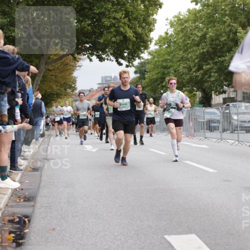 20.09.2026 - PSD Bank Halbmarathon Jannik Wohlers http://msf.ph/oto/10525961 20.09.2026 12:04:08 Laufen 1486 meine-sportfotos.de