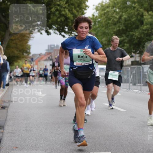 20.09.2026 - PSD Bank Halbmarathon Jannik Wohlers http://msf.ph/oto/10526043 20.09.2026 12:04:21 Laufen 3354, 1, 124 meine-sportfotos.de