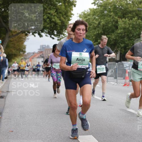 20.09.2026 - PSD Bank Halbmarathon Jannik Wohlers http://msf.ph/oto/10526053 20.09.2026 12:04:22 Laufen 3354, 9, 1247, 3109 meine-sportfotos.de