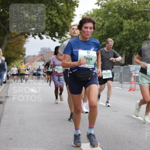 20.09.2026 - PSD Bank Halbmarathon Jannik Wohlers http://msf.ph/oto/10526056 20.09.2026 12:04:22 Laufen 354, 1247, 31 meine-sportfotos.de