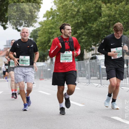 20.09.2026 - PSD Bank Halbmarathon Jannik Wohlers http://msf.ph/oto/10526163 20.09.2026 12:04:51 Laufen 2913, 2699, 16 meine-sportfotos.de