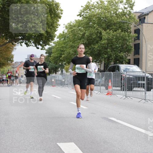 20.09.2026 - PSD Bank Halbmarathon Jannik Wohlers http://msf.ph/oto/10526240 20.09.2026 12:05:02 Laufen 1727 meine-sportfotos.de