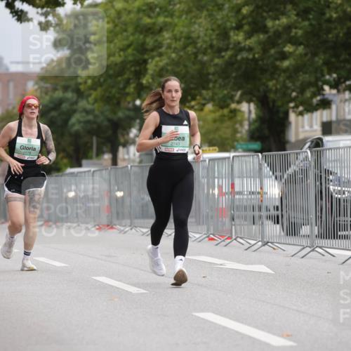 20.09.2026 - PSD Bank Halbmarathon Jannik Wohlers http://msf.ph/oto/10526315 20.09.2026 12:05:10 Laufen 2756, 2578, 2743, 223 meine-sportfotos.de