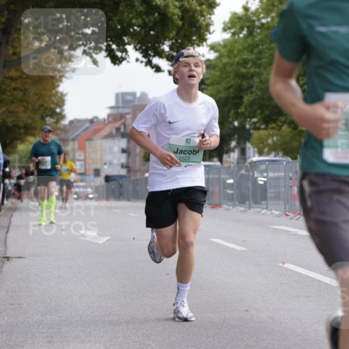 20.09.2026 - PSD Bank Halbmarathon Jannik Wohlers http://msf.ph/oto/10526394 20.09.2026 12:10:24 Laufen 2522, 4013 meine-sportfotos.de