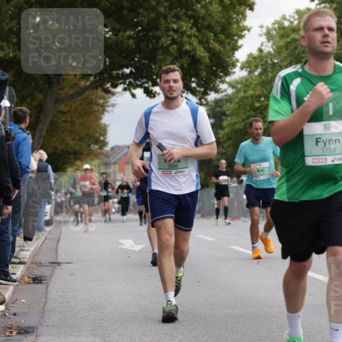 20.09.2026 - PSD Bank Halbmarathon Jannik Wohlers http://msf.ph/oto/10526666 20.09.2026 12:05:52 Laufen 1728, 457, 1555 meine-sportfotos.de