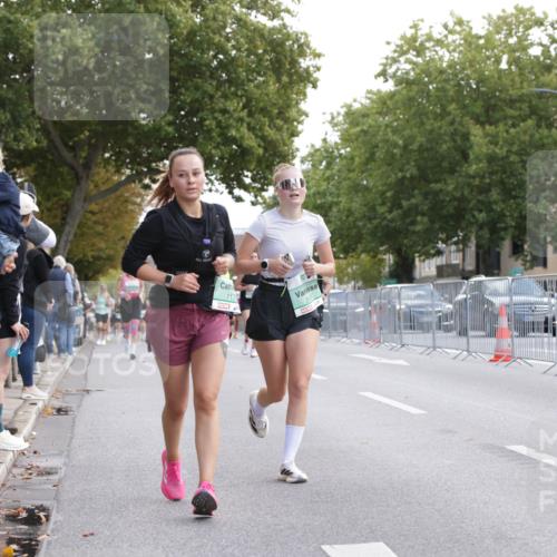 20.09.2026 - PSD Bank Halbmarathon Jannik Wohlers http://msf.ph/oto/10526728 20.09.2026 12:11:06 Laufen 117 meine-sportfotos.de