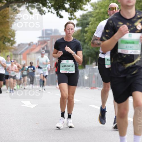 20.09.2026 - PSD Bank Halbmarathon Jannik Wohlers http://msf.ph/oto/10527086 20.09.2026 12:06:50 Laufen 2837, 4740 meine-sportfotos.de