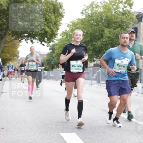20.09.2026 - PSD Bank Halbmarathon Jannik Wohlers http://msf.ph/oto/10527222 20.09.2026 12:07:13 Laufen 3389, 3281, 2396 meine-sportfotos.de