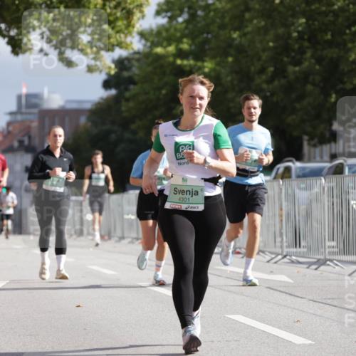 20.09.2026 - PSD Bank Halbmarathon Jannik Wohlers http://msf.ph/oto/10527241 20.09.2026 12:11:56 Laufen 4301 meine-sportfotos.de