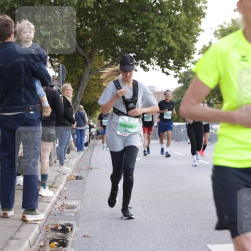 20.09.2026 - PSD Bank Halbmarathon Jannik Wohlers http://msf.ph/oto/10527329 20.09.2026 12:12:21 Laufen 4701 meine-sportfotos.de