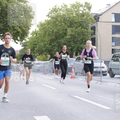 20.09.2026 - PSD Bank Halbmarathon Jannik Wohlers http://msf.ph/oto/10527400 20.09.2026 12:12:32 Laufen  meine-sportfotos.de