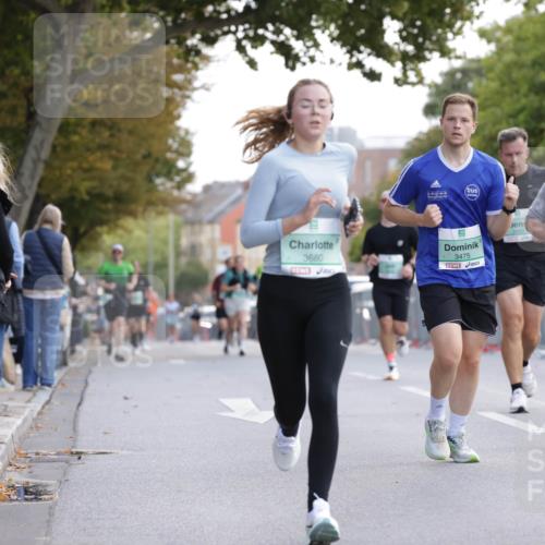 20.09.2026 - PSD Bank Halbmarathon Jannik Wohlers http://msf.ph/oto/10527504 20.09.2026 12:12:42 Laufen 3680, 3475, 2610 meine-sportfotos.de